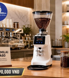 Máy Xay Cà Phê Gemilai A80 Chính Hãng